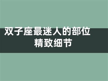 双子座最迷人的部位 精致细节