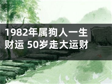 1982年属狗人一生财运 50岁走大运财