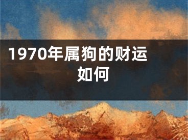 1970年属狗的财运如何