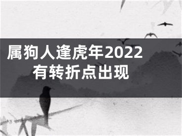 属狗人逢虎年2022  有转折点出现