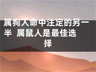 属狗人命中注定的另一半  属鼠人是最佳选择