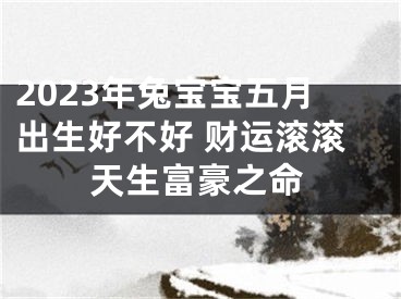 2023年兔宝宝五月出生好不好 财运滚滚天生富豪之命