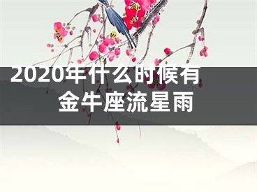 2020年什么时候有金牛座流星雨