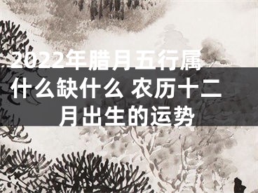 2022年腊月五行属什么缺什么 农历十二月出生的运势