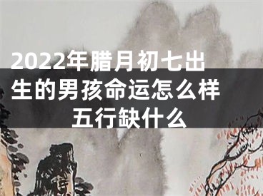2022年腊月初七出生的男孩命运怎么样 五行缺什么