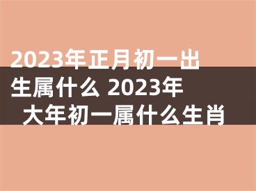2023年正月初一出生属什么 2023年大年初一属什么生肖