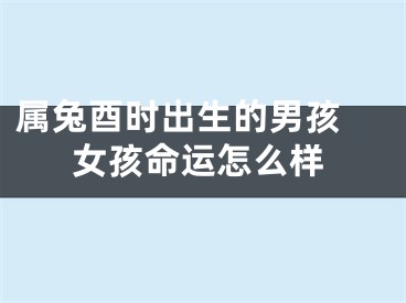 属兔酉时出生的男孩 女孩命运怎么样
