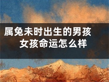 属兔未时出生的男孩 女孩命运怎么样