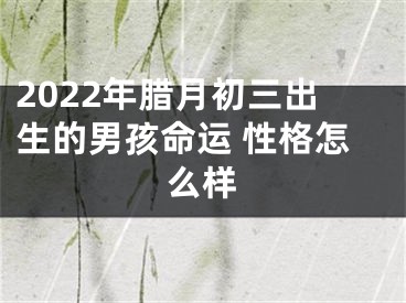 2022年腊月初三出生的男孩命运 性格怎么样