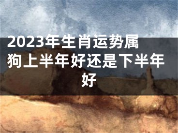 2023年生肖运势属狗上半年好还是下半年好