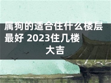 属狗的适合住什么楼层最好 2023住几楼大吉