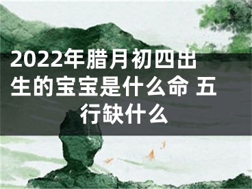 2022年腊月初四出生的宝宝是什么命 五行缺什么