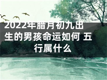 2022年腊月初九出生的男孩命运如何 五行属什么