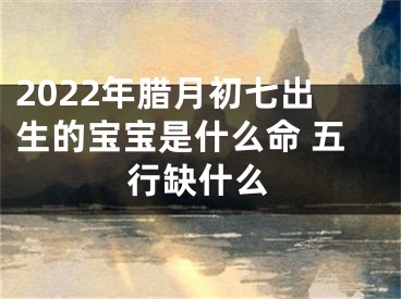 2022年腊月初七出生的宝宝是什么命 五行缺什么