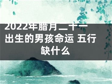 2022年腊月二十一出生的男孩命运 五行缺什么