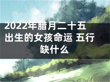 2022年腊月二十五出生的女孩命运 五行缺什么