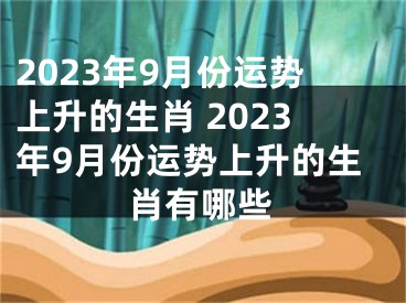 2023年9月份运势上升的生肖 2023年9月份运势上升的生肖有哪些