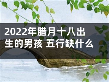 2022年腊月十八出生的男孩 五行缺什么