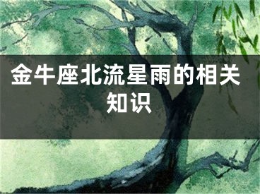 金牛座北流星雨的相关知识