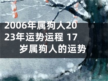 2006年属狗人2023年运势运程 17岁属狗人的运势