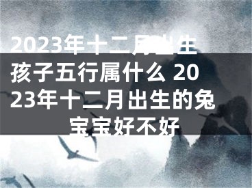 2023年十二月出生孩子五行属什么 2023年十二月出生的兔宝宝好不好