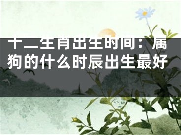 十二生肖出生时间：属狗的什么时辰出生最好 