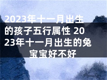 2023年十一月出生的孩子五行属性 2023年十一月出生的兔宝宝好不好