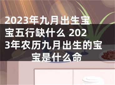 2023年九月出生宝宝五行缺什么 2023年农历九月出生的宝宝是什么命