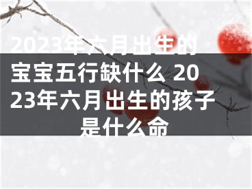 2023年六月出生的宝宝五行缺什么 2023年六月出生的孩子是什么命