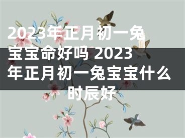 2023年正月初一兔宝宝命好吗 2023年正月初一兔宝宝什么时辰好
