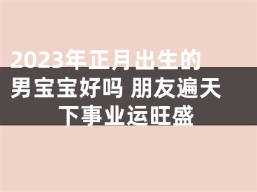 2023年正月出生的男宝宝好吗 朋友遍天下事业运旺盛