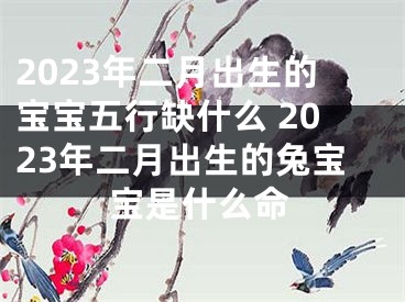 2023年二月出生的宝宝五行缺什么 2023年二月出生的兔宝宝是什么命