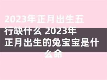 2023年正月出生五行缺什么 2023年正月出生的兔宝宝是什么命