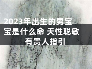 2023年出生的男宝宝是什么命 天性聪敏有贵人指引