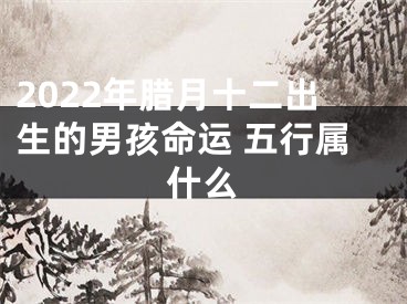 2022年腊月十二出生的男孩命运 五行属什么