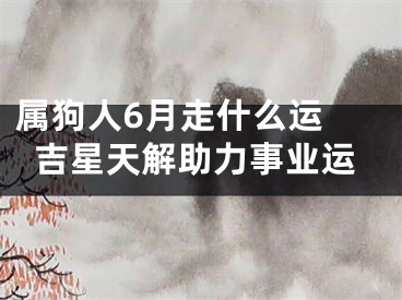 属狗人6月走什么运 吉星天解助力事业运