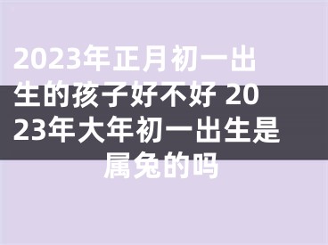 2023年正月初一出生的孩子好不好 2023年大年初一出生是属兔的吗