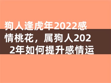 狗人逢虎年2022感情桃花，属狗人2022年如何提升感情运