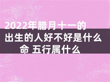 2022年腊月十一的出生的人好不好是什么命 五行属什么