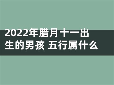 2022年腊月十一出生的男孩 五行属什么