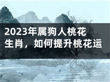 2023年属狗人桃花生肖，如何提升桃花运