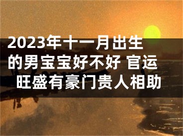 2023年十一月出生的男宝宝好不好 官运旺盛有豪门贵人相助