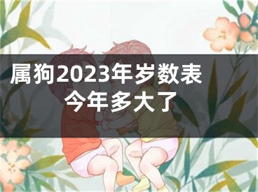 属狗2023年岁数表 今年多大了