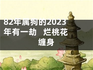 82年属狗的2023年有一劫   烂桃花缠身
