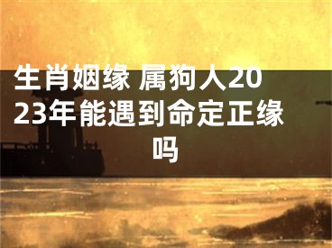 生肖姻缘 属狗人2023年能遇到命定正缘吗