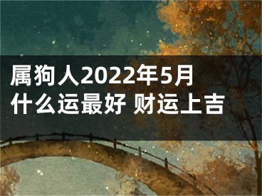 属狗人2022年5月什么运最好 财运上吉