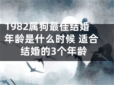 1982属狗最佳结婚年龄是什么时候 适合结婚的3个年龄