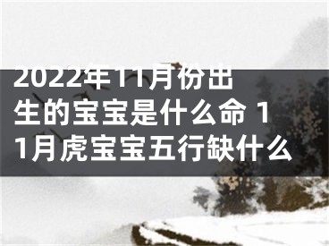 2022年11月份出生的宝宝是什么命 11月虎宝宝五行缺什么