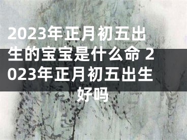2023年正月初五出生的宝宝是什么命 2023年正月初五出生好吗