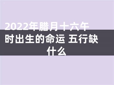 2022年腊月十六午时出生的命运 五行缺什么